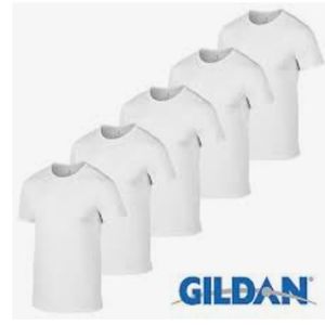 Gildan t- shirt 5 pack- plain wight